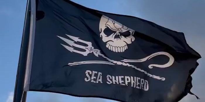 Coming soon: Veja x Sea shepherd - 23.03.2022 - Fields